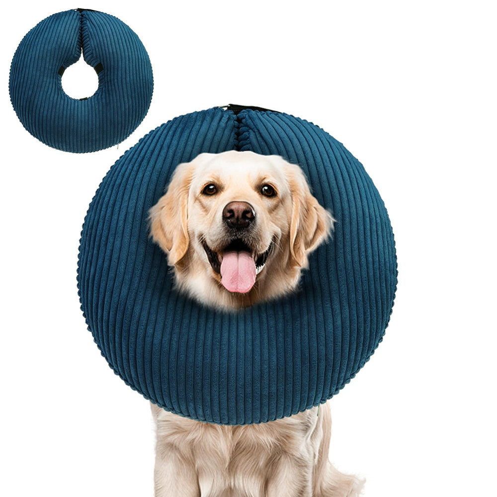 BINGPET cono inflable para perros, ajuste seguro en XL y comodidad para comer.