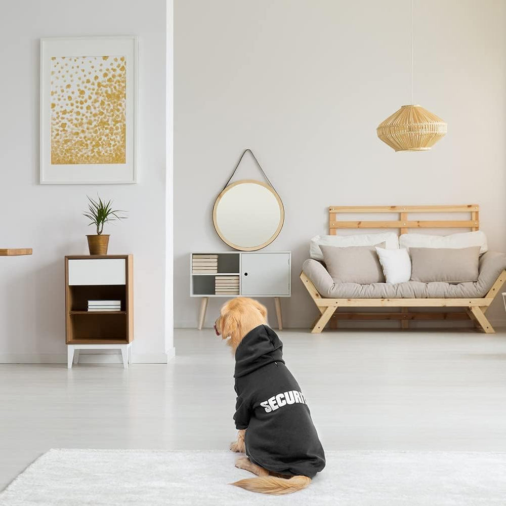 BINGPET estilo urbano: aspecto moderno para paseos visibles