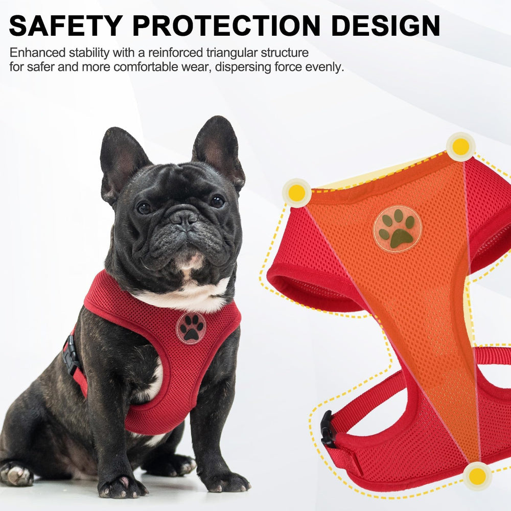 Guía de tallas Bingpet: elige la talla adecuada para cada mascota.