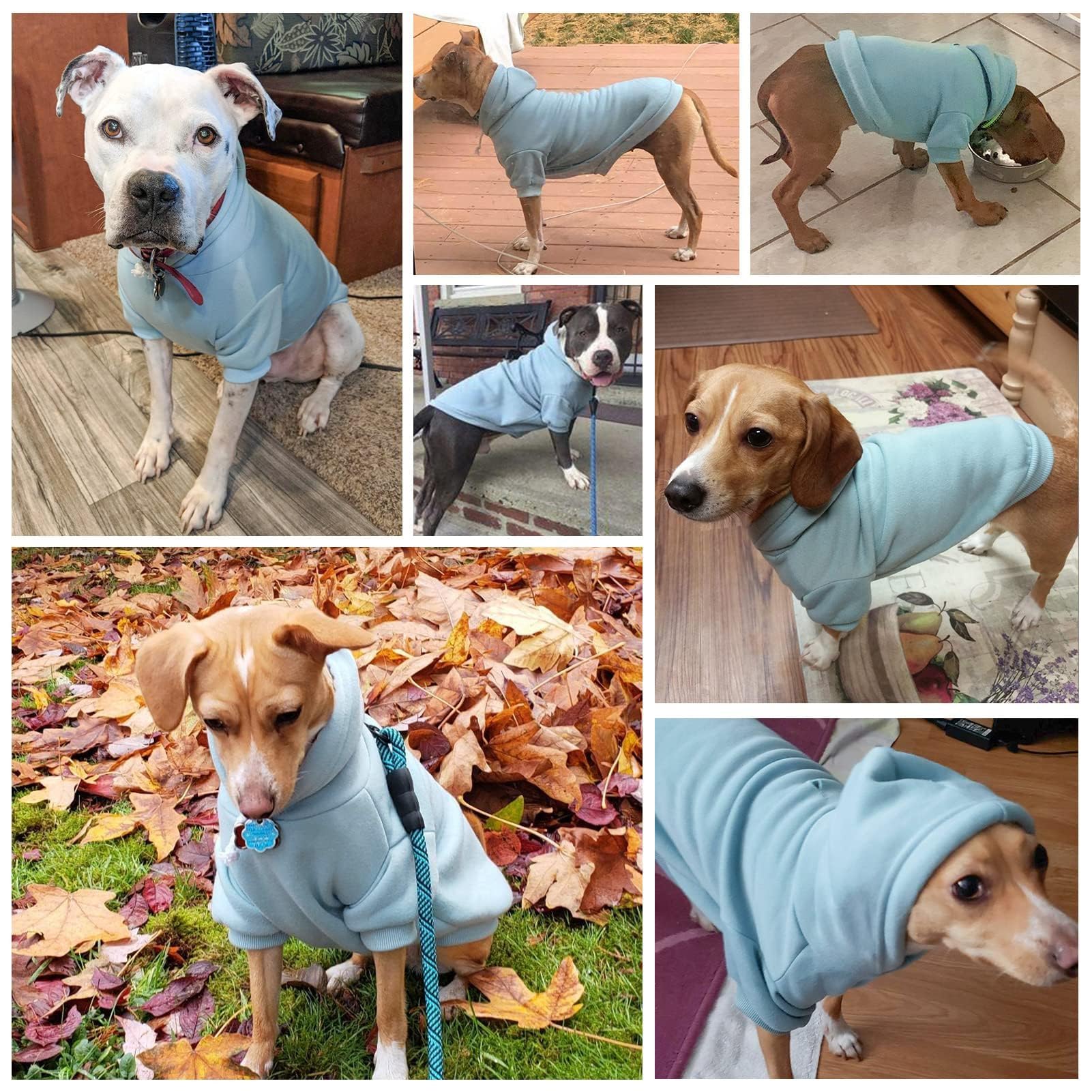 Lavado a máquina de la prenda BINGPET, cuidado sencillo para mascotas.