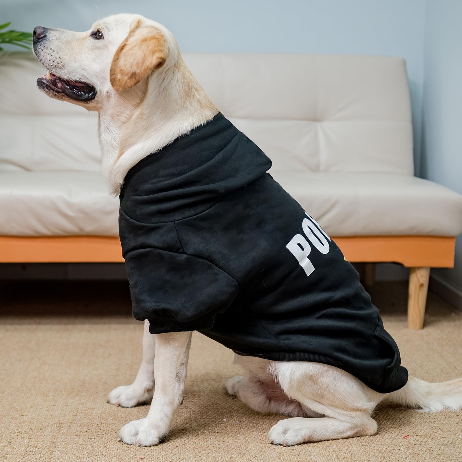 Sudadera BINGPET para perro, lavable a máquina, cuidado sencillo.