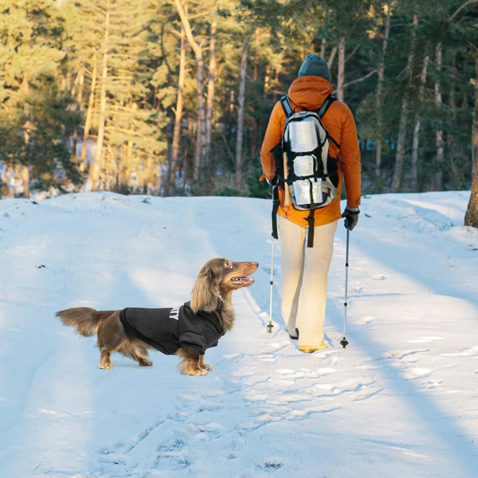 BINGPET abrigo para perro, perfecto para días fríos de invierno.