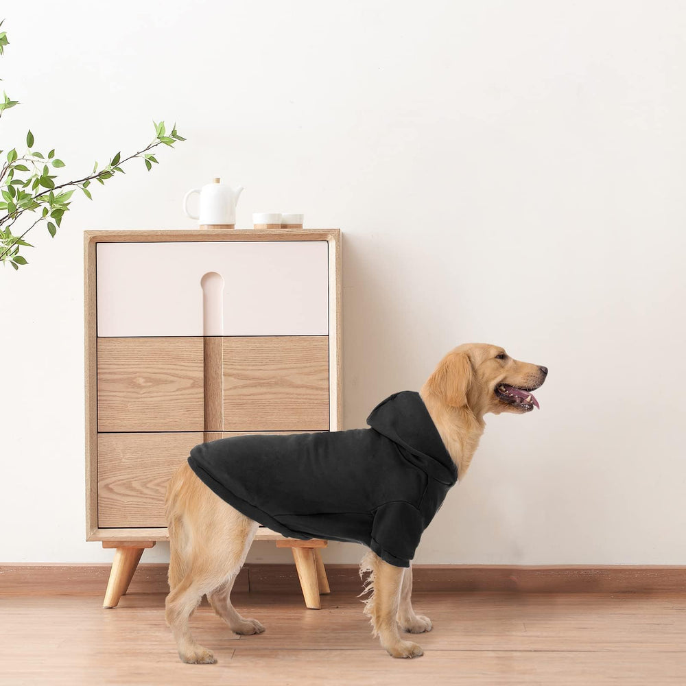 Sudadera BINGPET para mascotas, uso diario en casa y paseo
