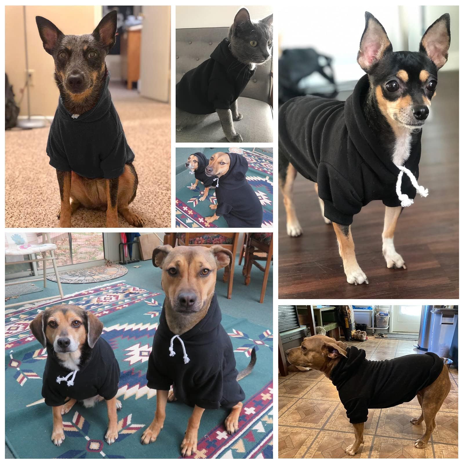 BINGPET sudadera para mascotas, lavado a máquina fácil