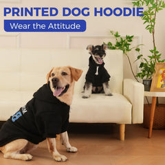 Sudadera BingPet con orificio para correa para paseos prácticos.