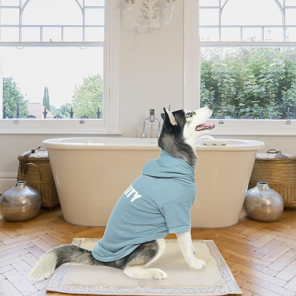 BINGPET sudadera para perro: costuras reforzadas para mayor durabilidad