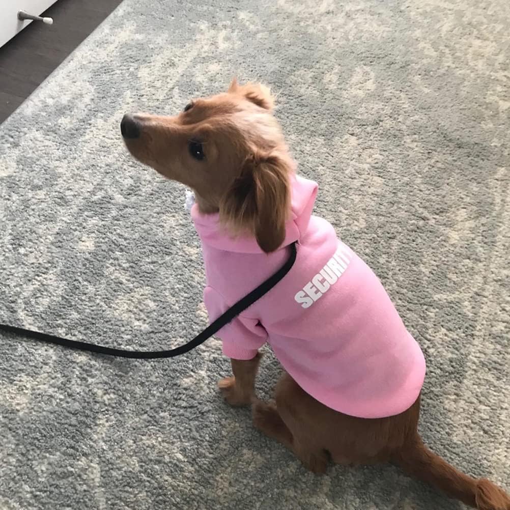 BINGPET sudadera para perro con diseño en la espalda, estilo moderno.