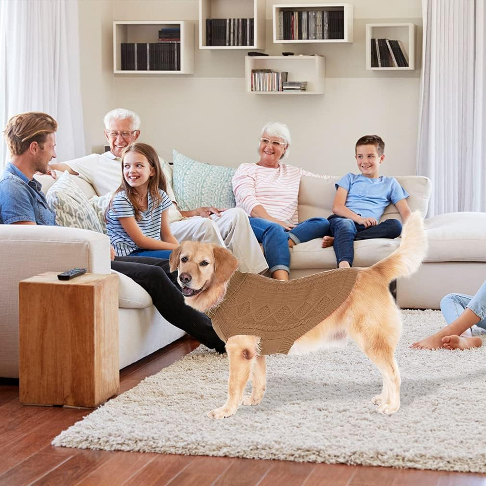 BINGPET diseño clásico con punto cable para uso diario y sesiones fotográficas.
