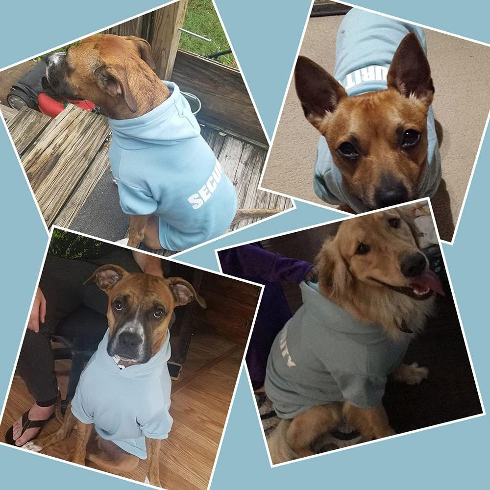 BINGPET sudadera para perro: estilo urbano y diseño de seguridad para calle