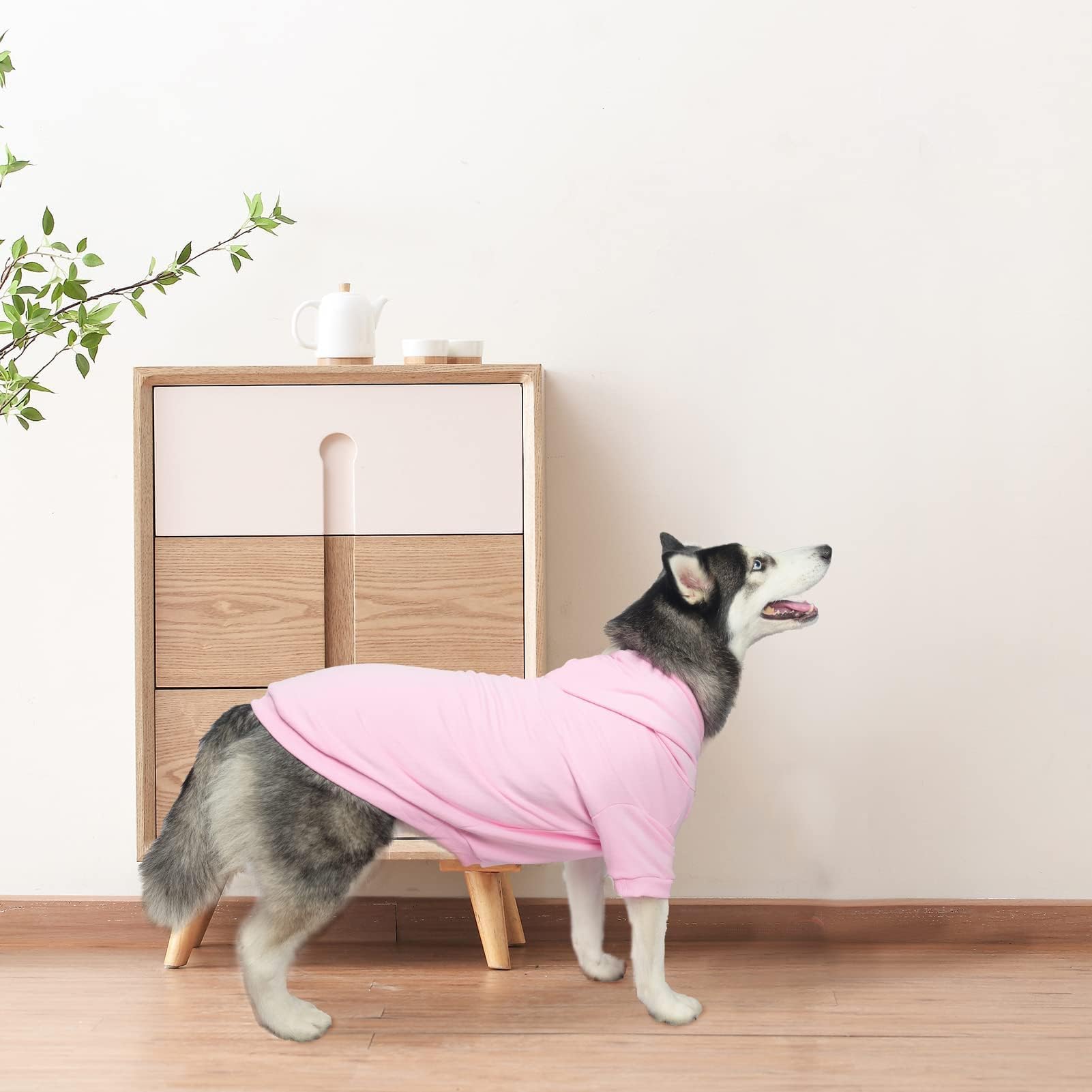 BINGPET modelo en perro usando la sudadera, muestra ajuste cómodo.
