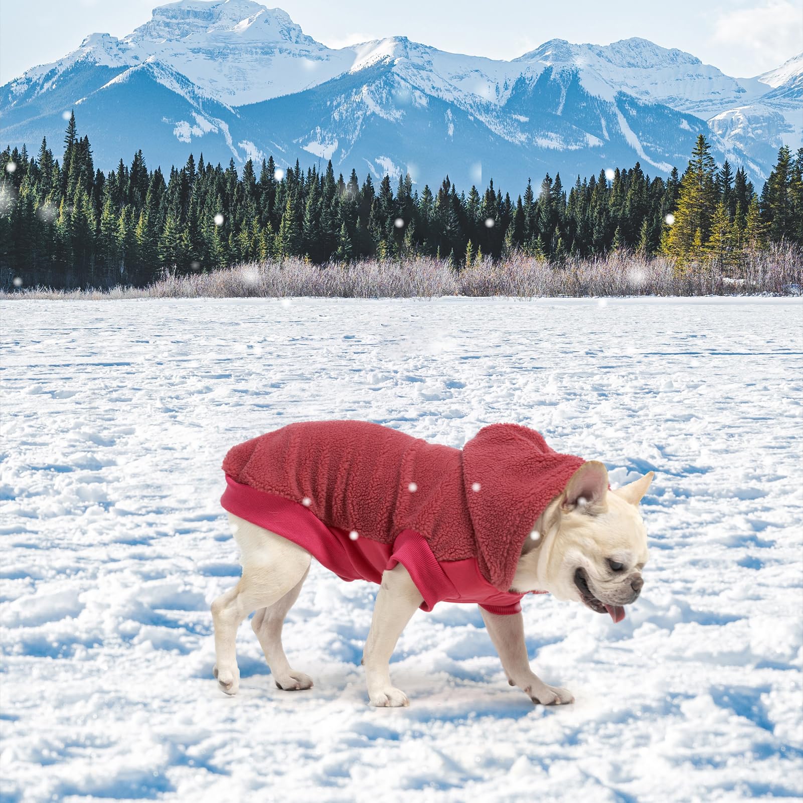 BINGPET sudadera lavable a máquina, fácil cuidado para uso diario.