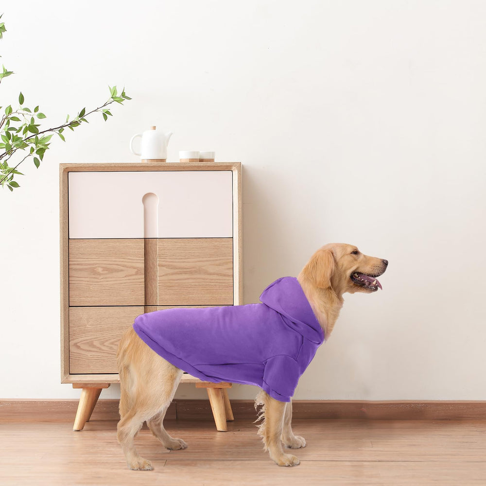 BINGPET sudadera con tallas múltiples para ajuste cómodo.