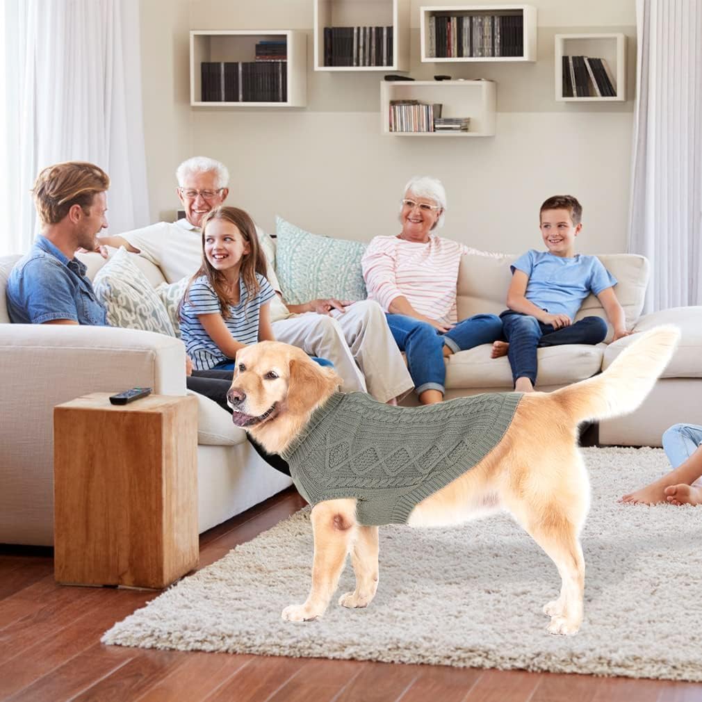 Tejido suave y elástico de BINGPET para mayor comodidad