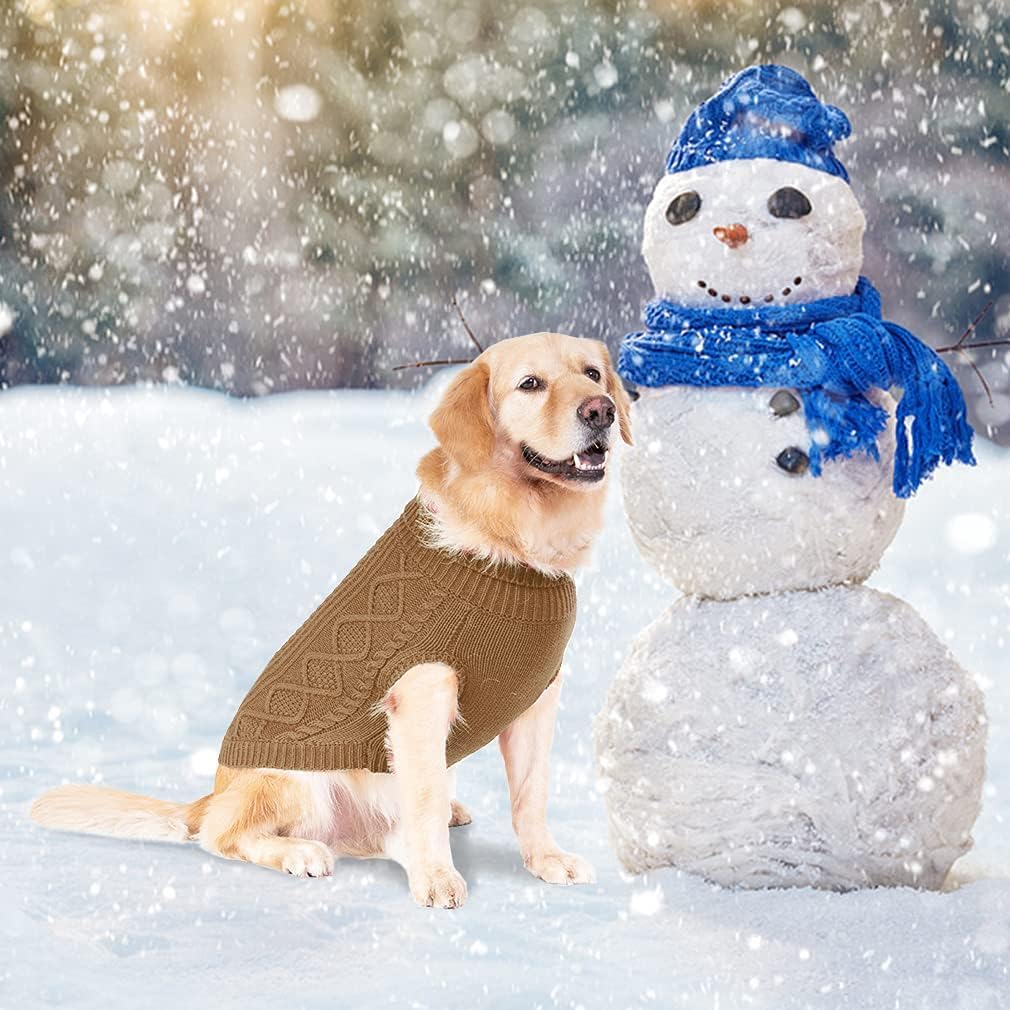 BINGPET sudadera para clima frío, suave y flexible durante paseos.