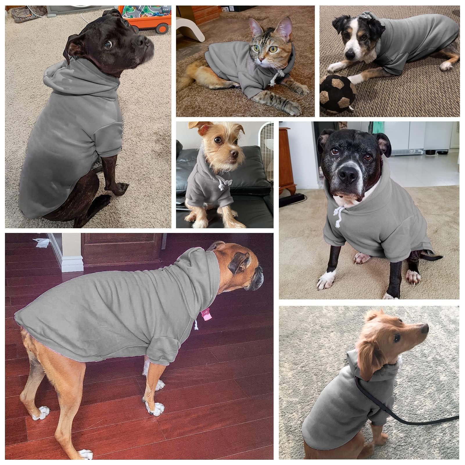BINGPET sudadera para perro, uso diario interior y exterior.