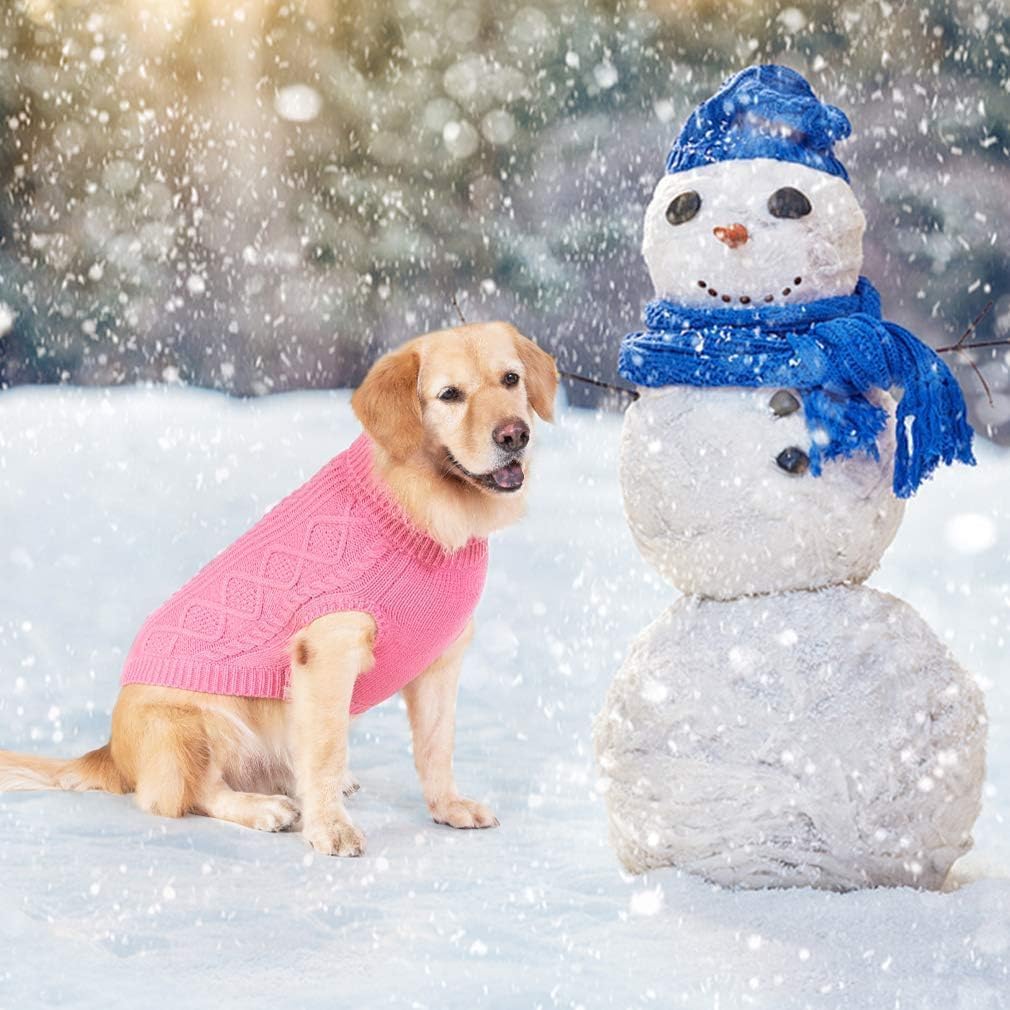 Conjunto invernal de BINGPET para paseos diarios con estilo