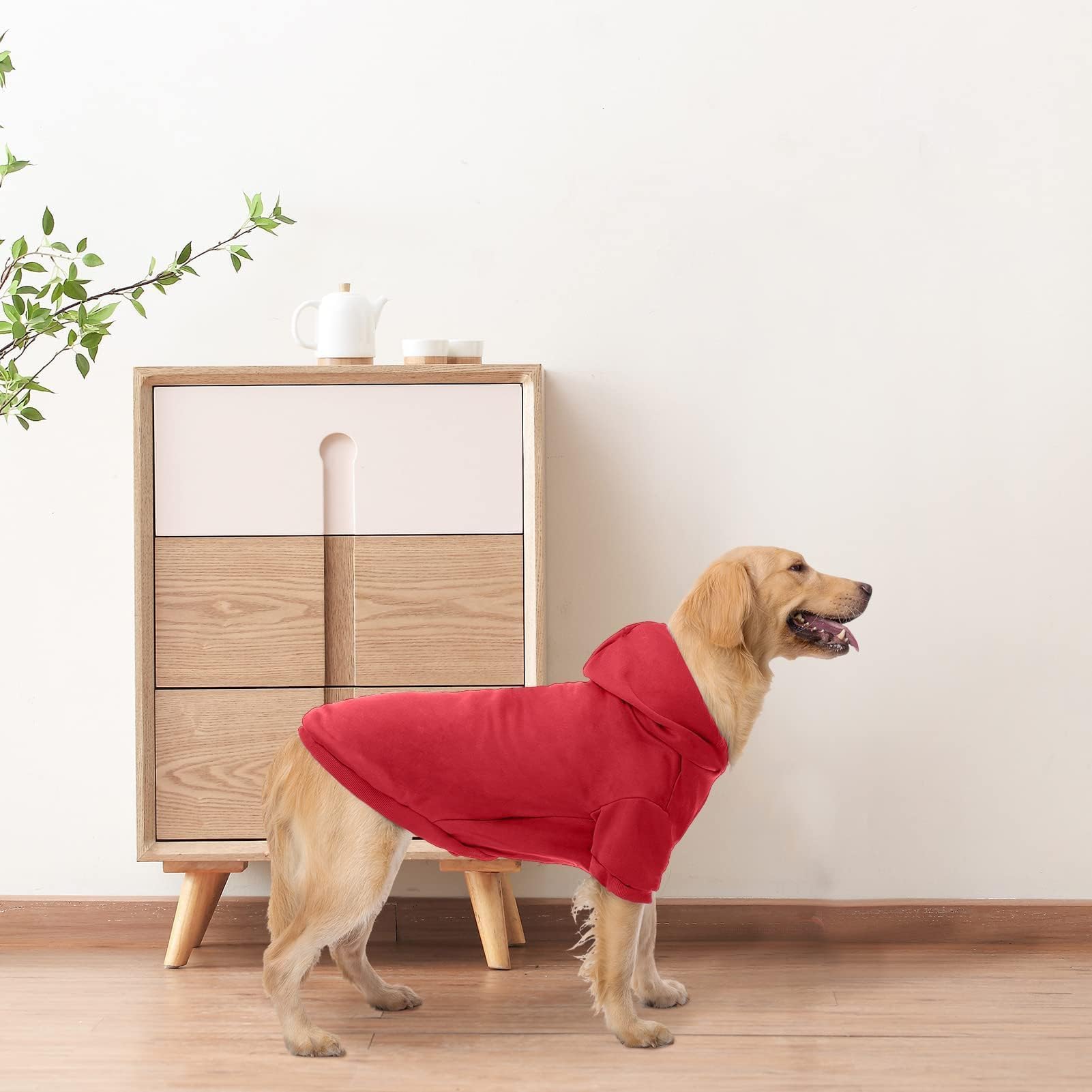 Seis tallas disponibles para perros y gatos con BINGPET.