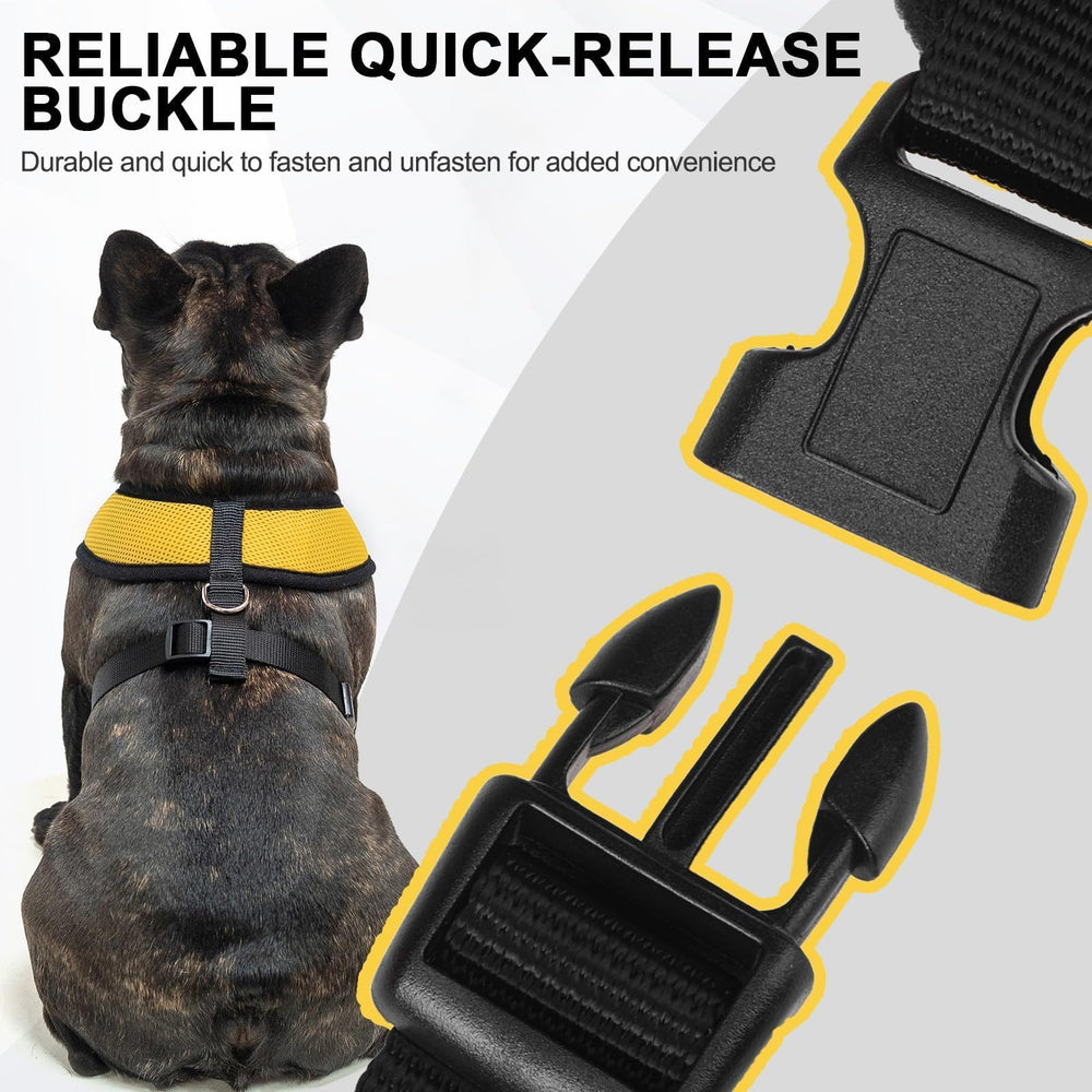 BINGPET guía de tallas XS a XL para ajuste personalizado.