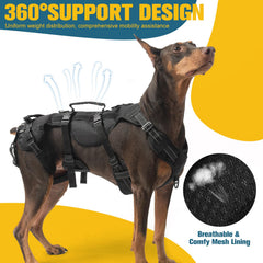 BINGPET tela Oxford transpirable: arnés cómodo para uso diario de tu perro.