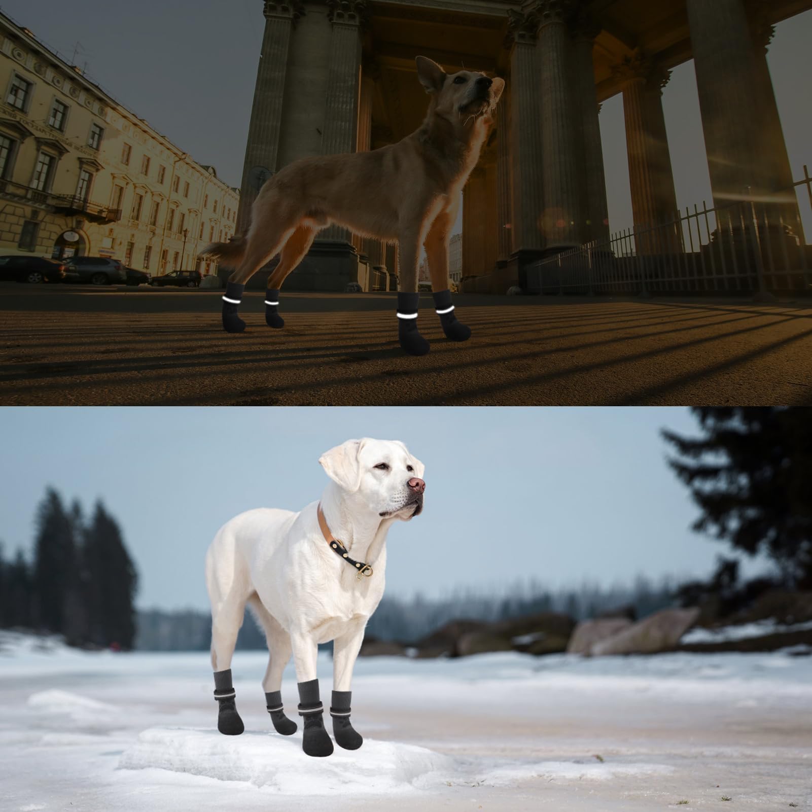 BINGPET zapatos para uso interior y exterior en suelos de madera
