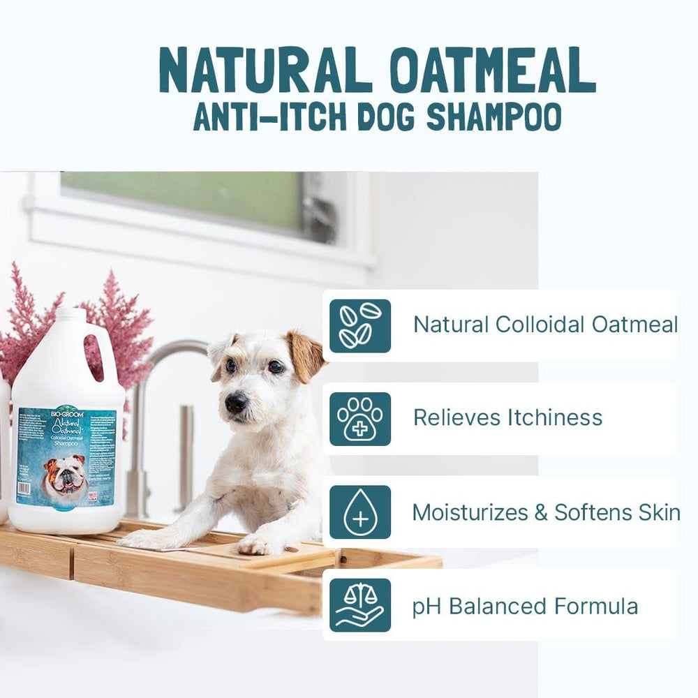 Bio-Groom Champú Avena para Perro, libre de crueldad