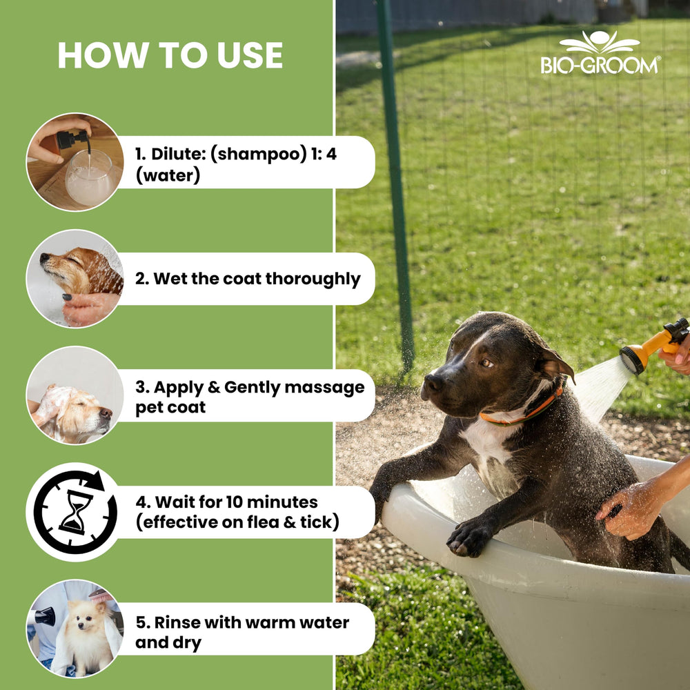 Bio-Groom champú para pulgas en gatos, cuidado suave y uso versátil.
