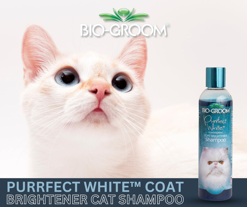 Bio-Groom Purrfect White, espuma cremosa, limpia y aporta brillo natural al pelaje