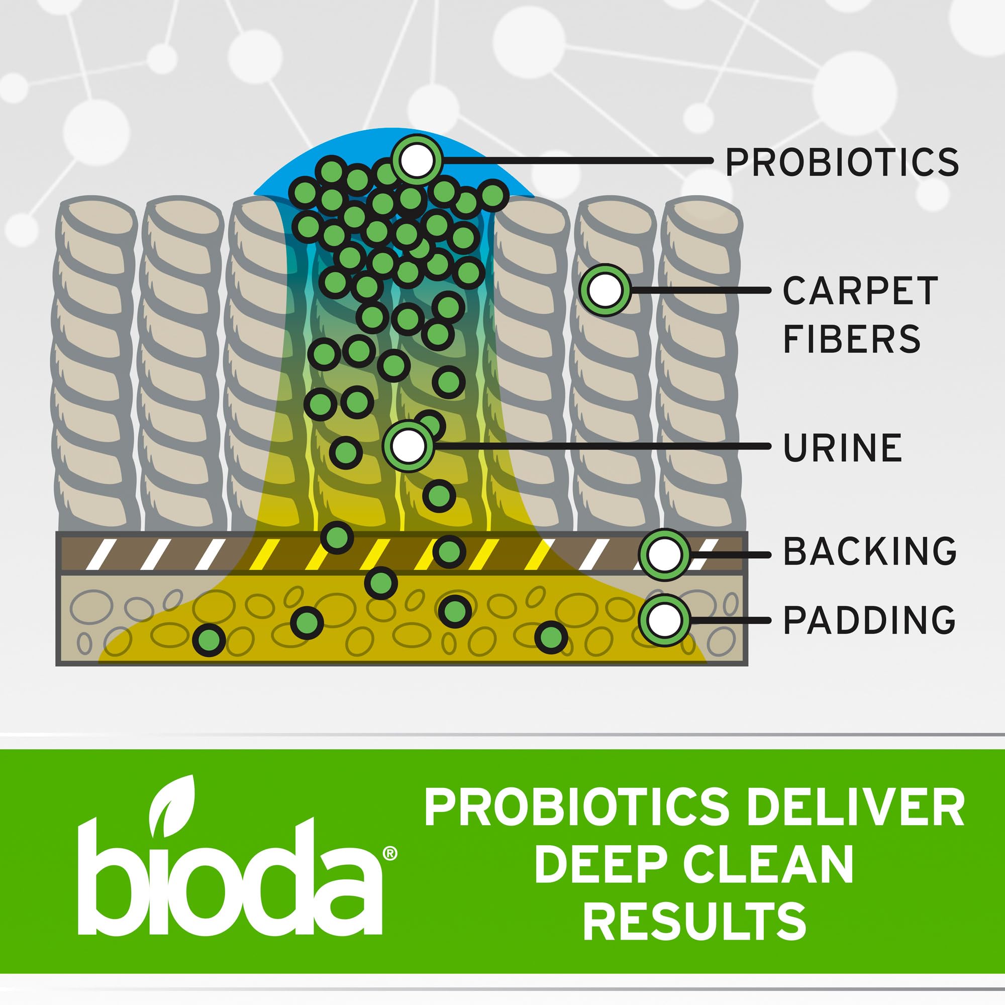 Bioda uso multisuperficie: alfombras y sillones para manchas de mascotas.