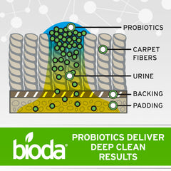 Bioda uso multisuperficie: alfombras y sillones para manchas de mascotas.