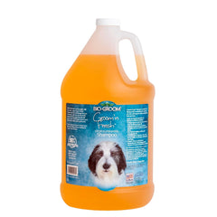 Bio-Groom Groom'n Fresh champú para perros en botella, baño rápido y refrescante.