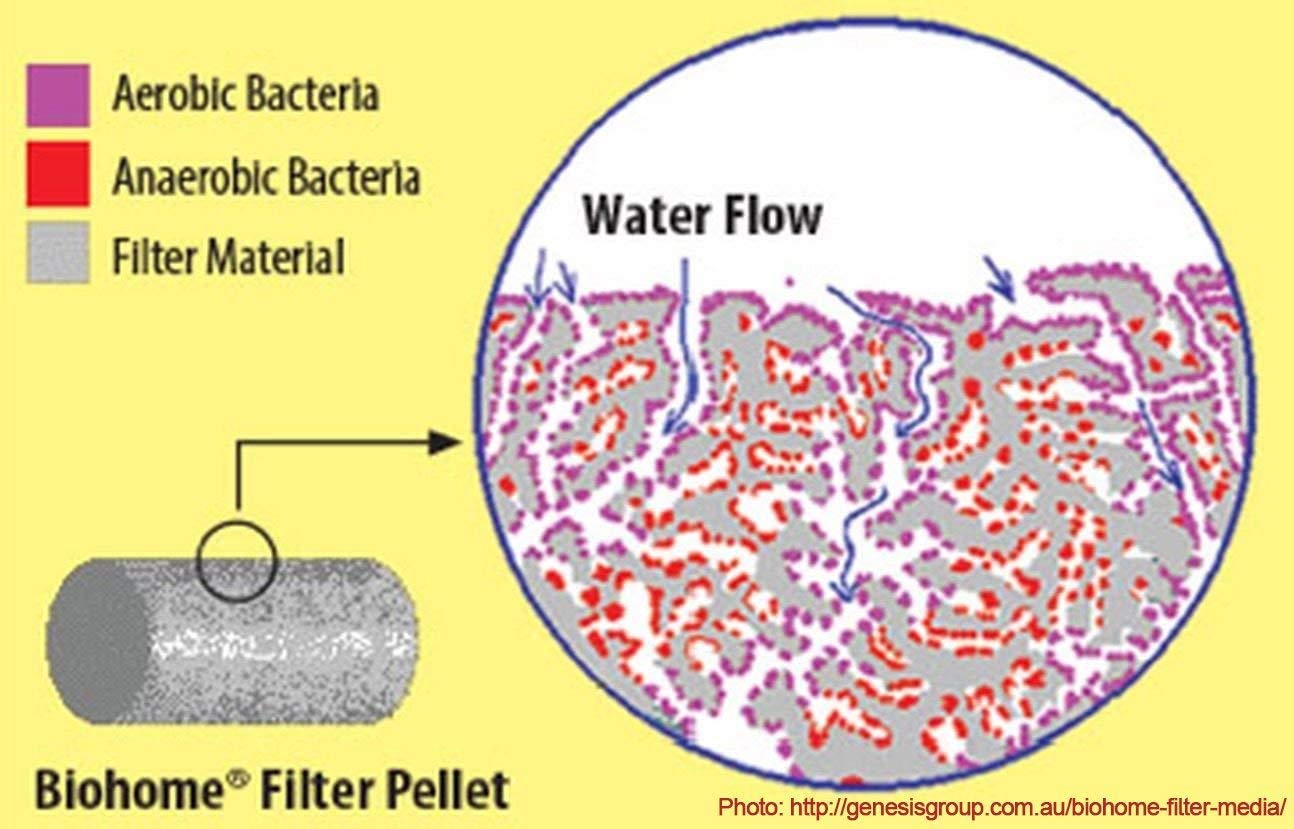 Biohome Ultimate porosidad alta para bacterias beneficiosas.