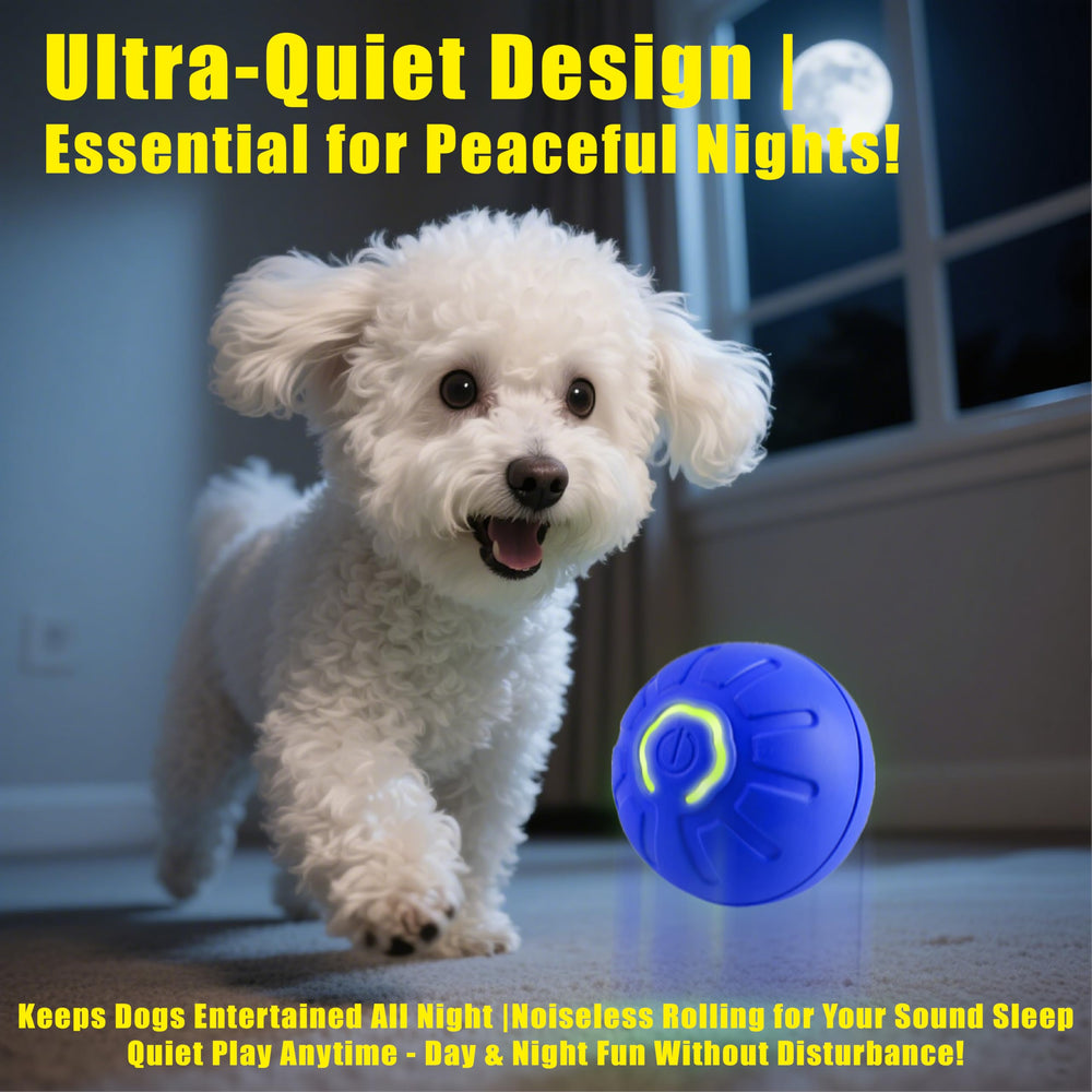 BIONEMAGILI bola para gatos y perros pequeños, juego interactivo