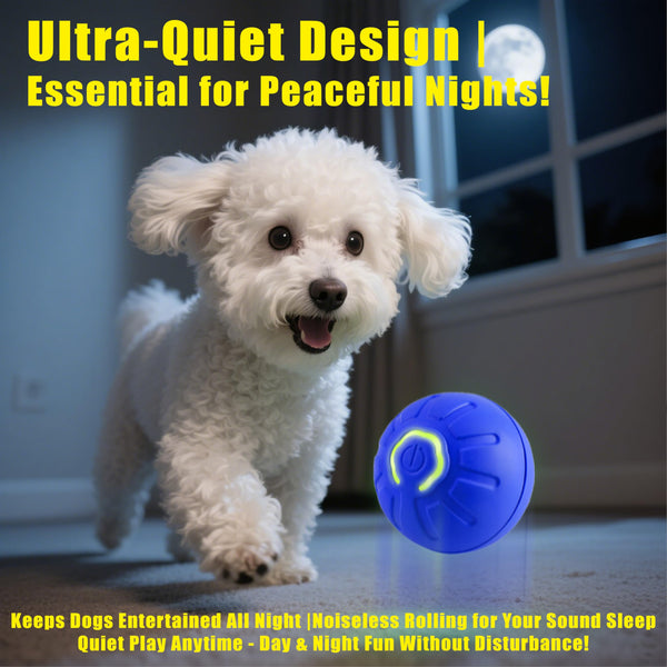 BIONEMAGILI bola para gatos y perros pequeños, juego interactivo