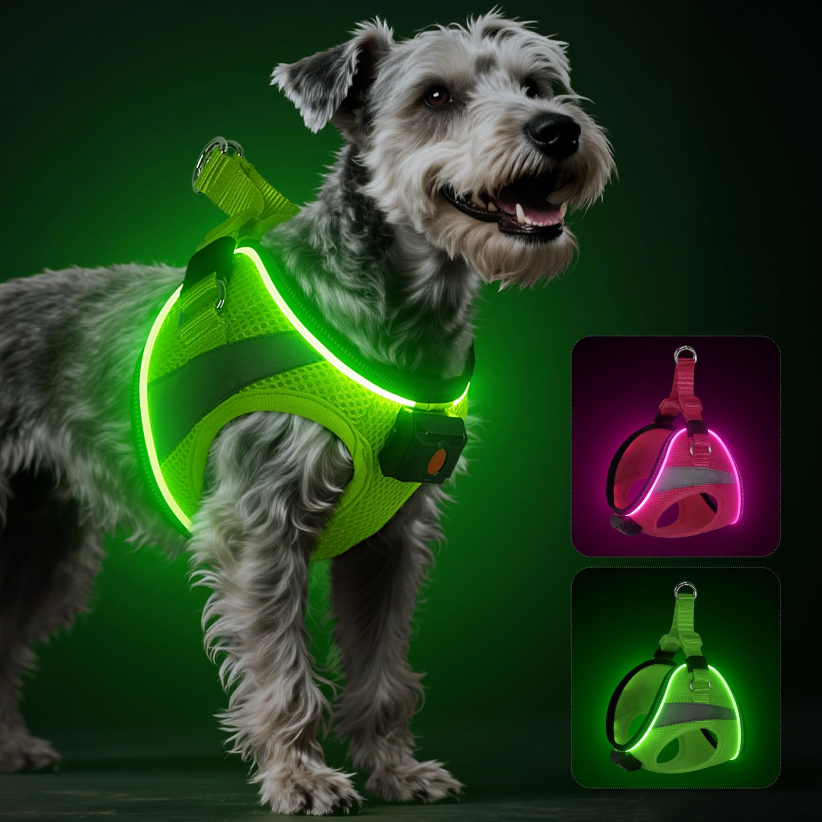 BiPawTi Arnés iluminado para perro: gran visibilidad nocturna para paseos seguros.