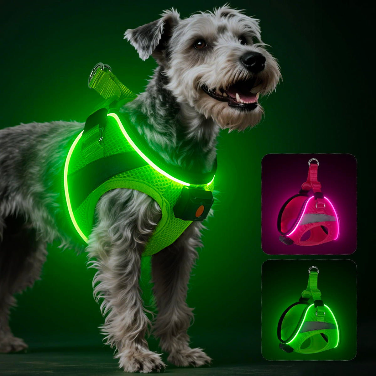 BiPawTi Arnés iluminado para perro: gran visibilidad nocturna para paseos seguros.