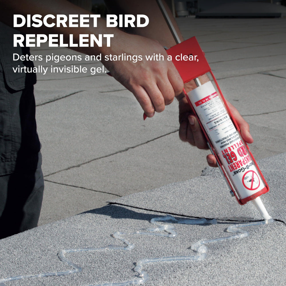 Bird B Gone gel transparente, se integra al entorno para evitar el perchado de aves.