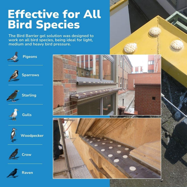 Bird Barrier Gel Óptico ingredientes naturales crean una barrera suave para las aves.