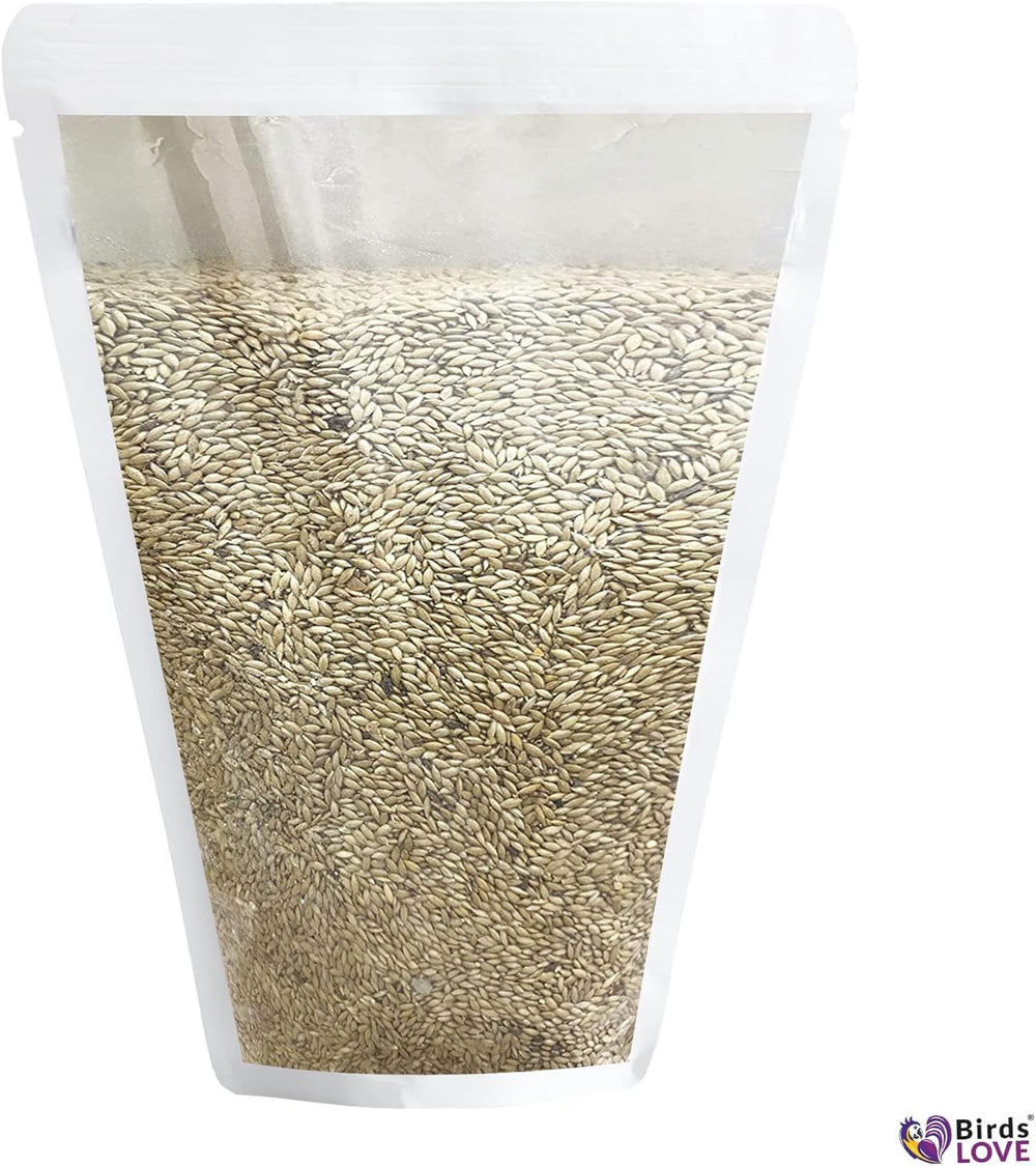 Ave comiendo Birds LOVE alpiste canario, alimento diario para aves