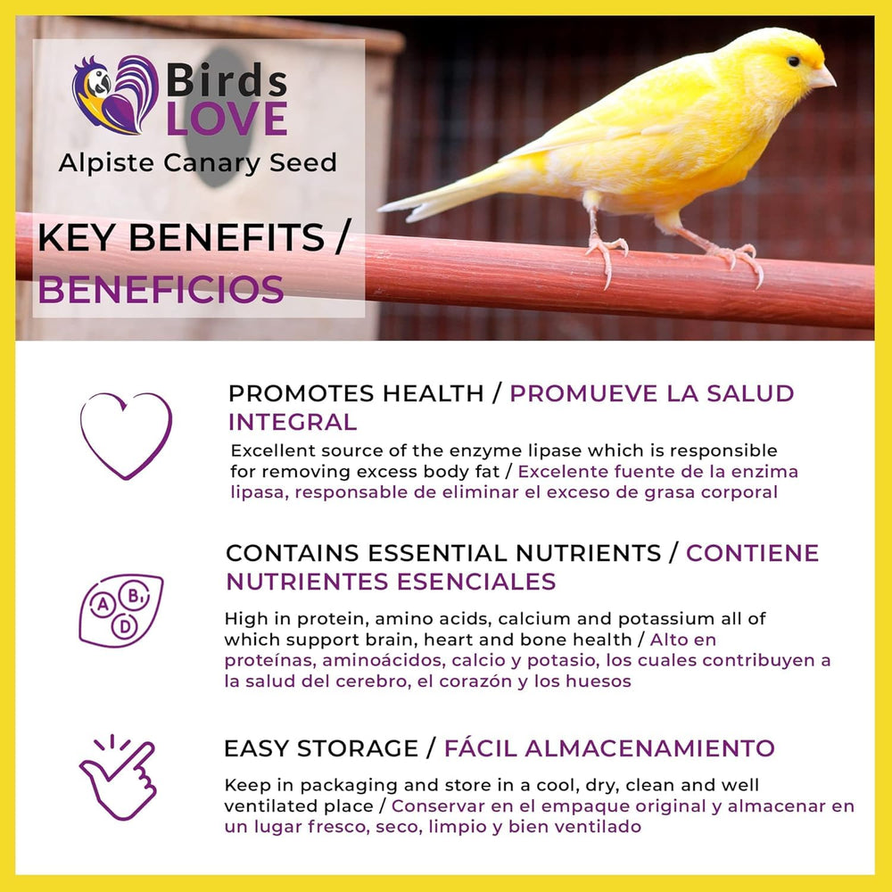 Doble lavado: semillas limpias con Birds LOVE