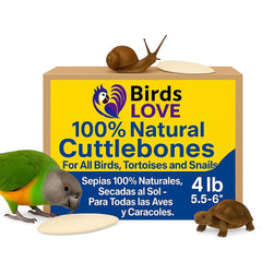 Birds LOVE cuttlebone natural para aves, ideal para acondicionar el pico