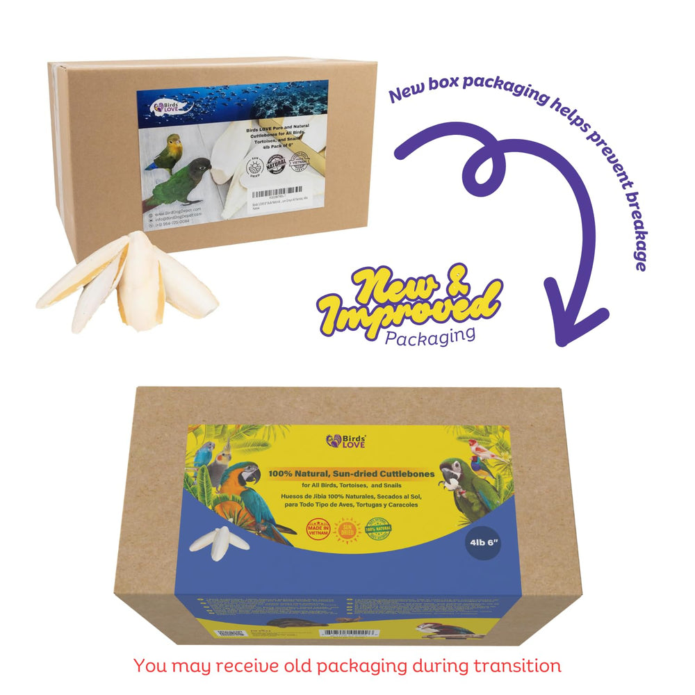 Birds LOVE cuttlebone sin aditivos para cuidado seguro de las aves