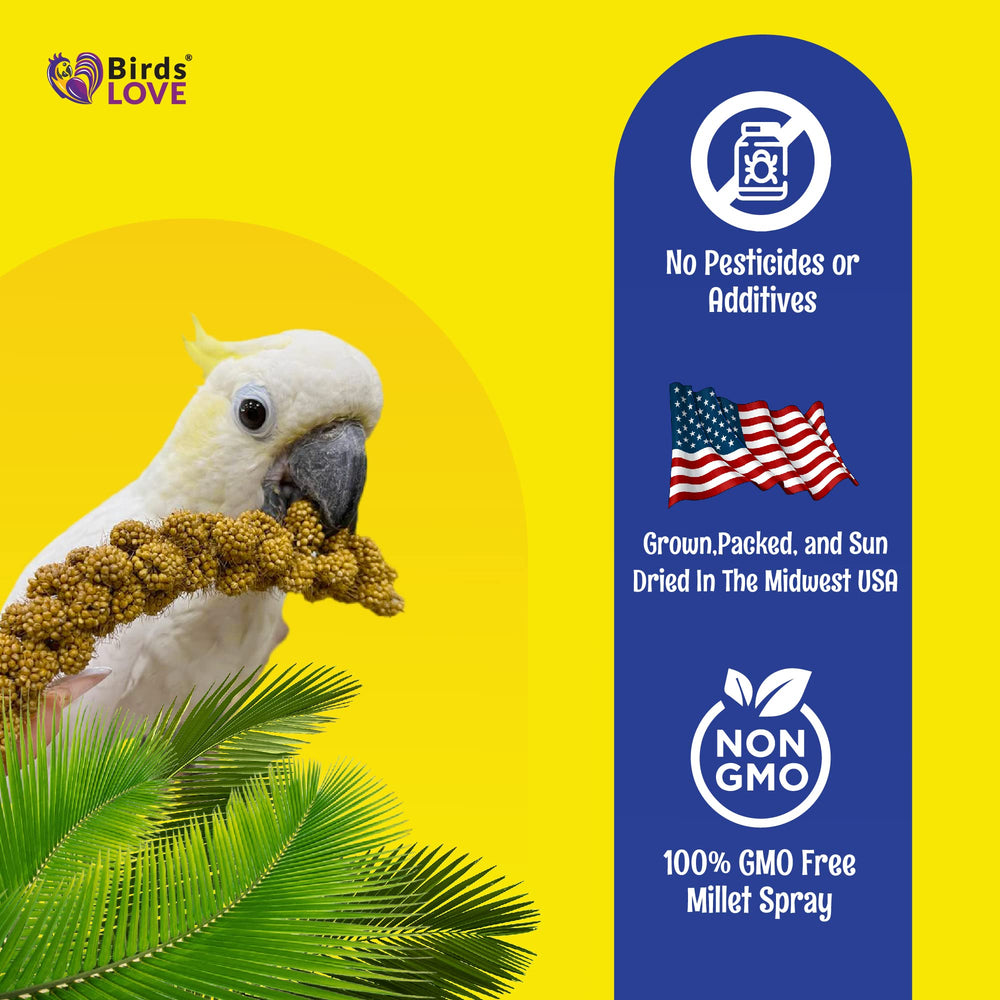 Birds LOVE opción natural, sin químicos, para enriquecer la rutina de aves.