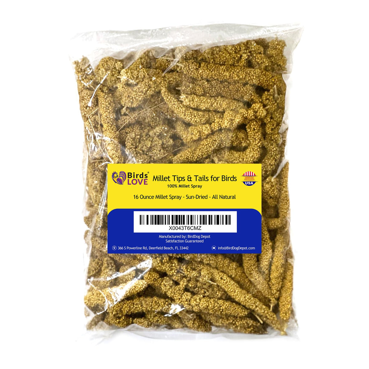 Birds LOVE Millet Tips & Tails: rama de mijo para forraje nutritivo