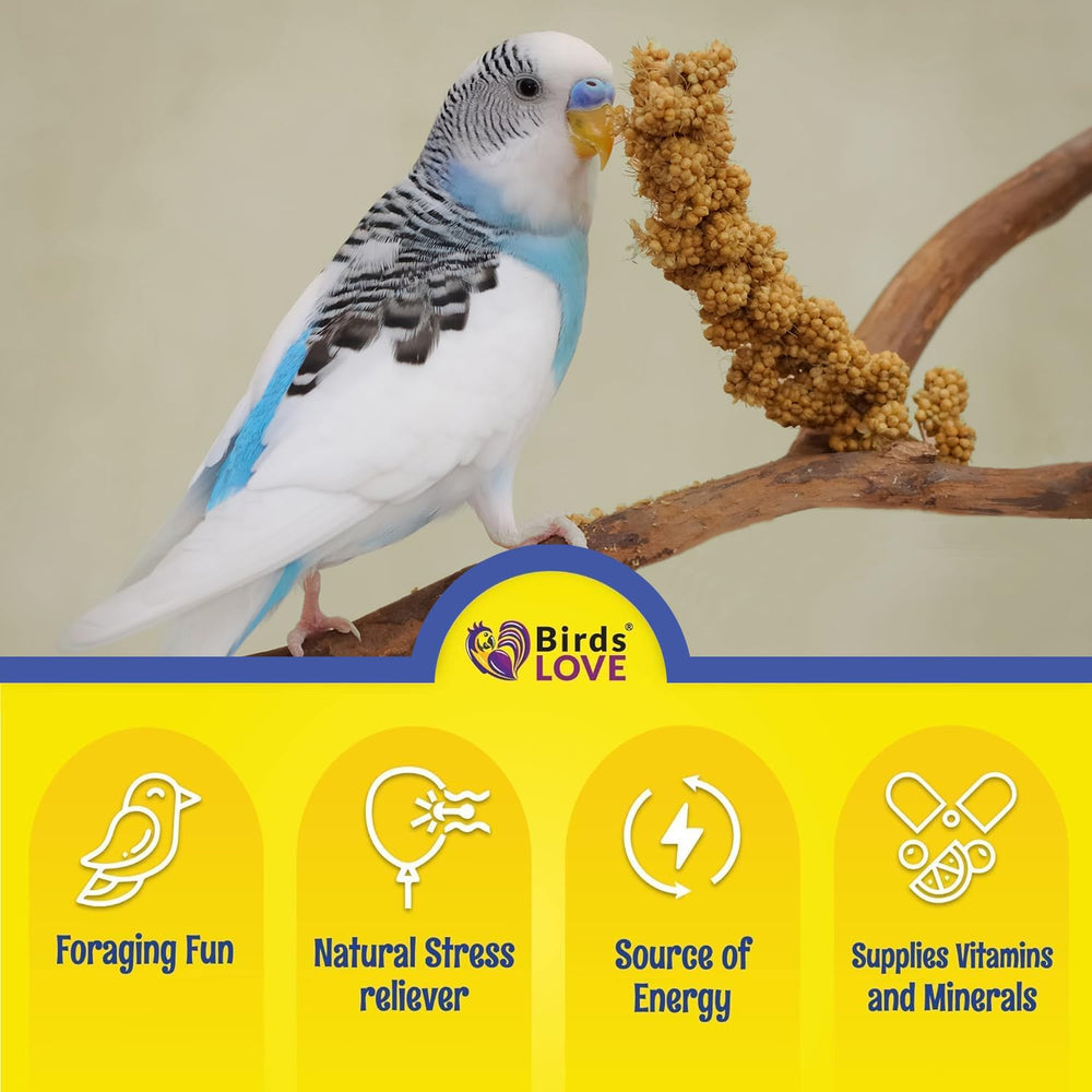 Birds LOVE Millet Tips & Tails: variedad de tamaños para todas las aves