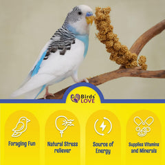 Birds LOVE Millet Tips & Tails: variedad de tamaños para todas las aves