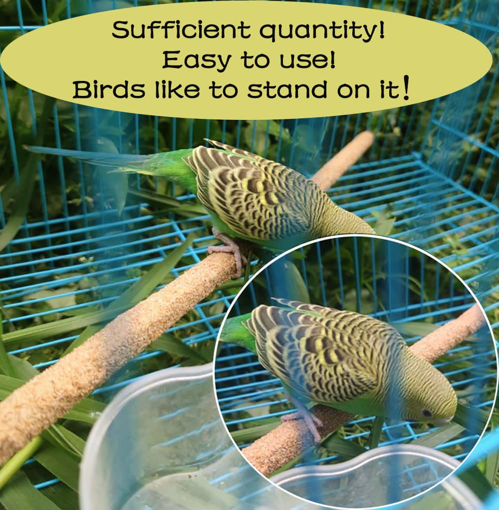 Birheatry cubiertas de percha para uso diario en jaulas.