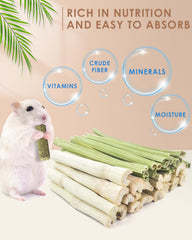 Bissap bastones masticación conejo: palo de papaya para digestión y variedad natural.