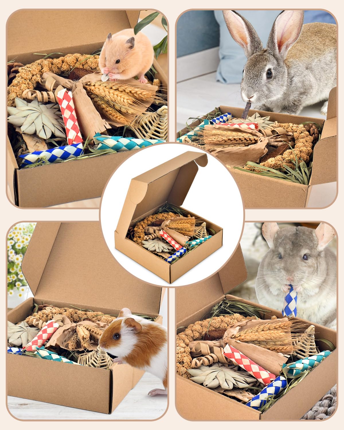 Bissap Juguete masticable con piñas y madera, regalo para mascotas.