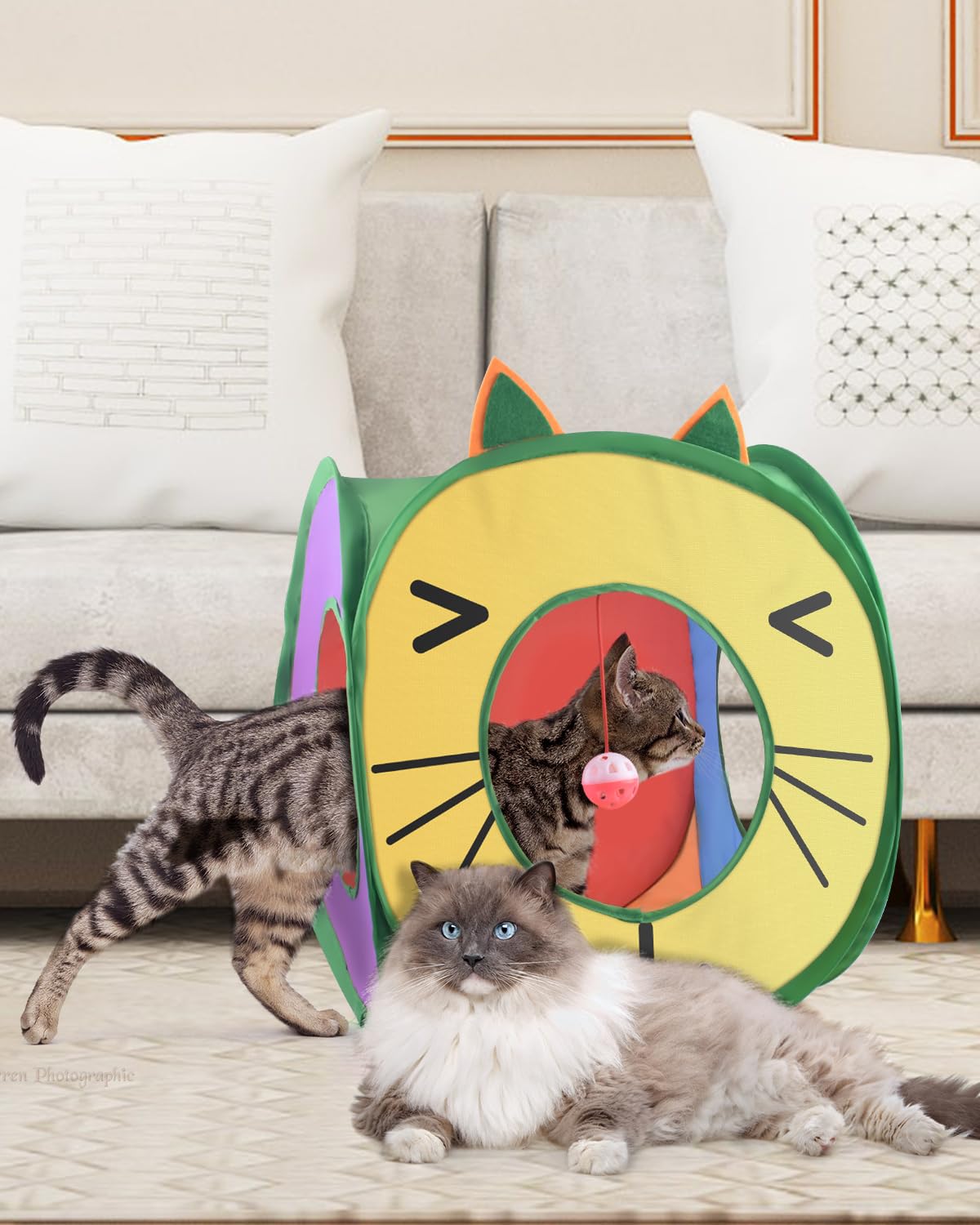 Bissap Cubo Gato Colapsable Portátil: fácil de guardar y transportar.