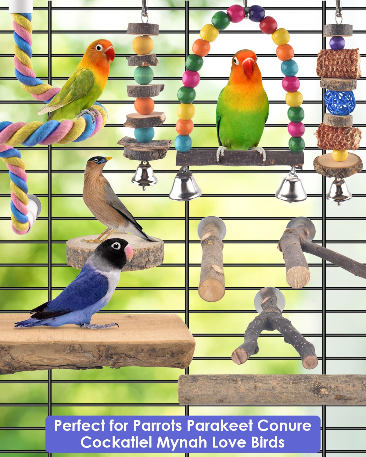 Entrenamiento suave Bissap, plataformas y percha para ejercitar aves pequeñas.